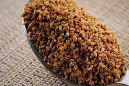 "पसीने जैसी पिघलेगी पेट की चर्बी! किचन के इस सस्ते सामान को ऐसे करें यूज़, वजन घटाने का हैरान करने वाला तरीका!"