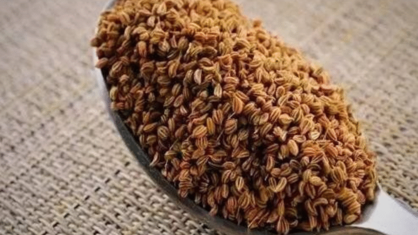 "पसीने जैसी पिघलेगी पेट की चर्बी! किचन के इस सस्ते सामान को ऐसे करें यूज़, वजन घटाने का हैरान करने वाला तरीका!"